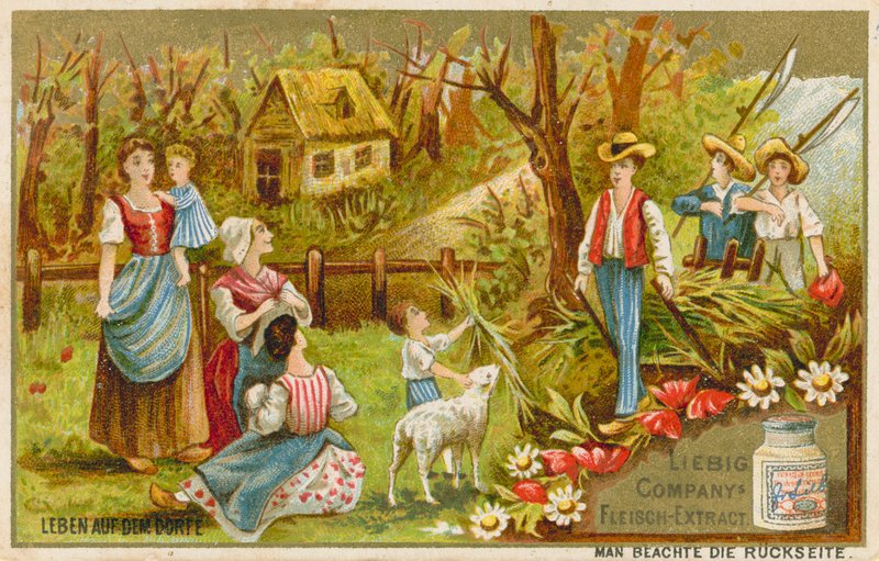 La vie au village - European School