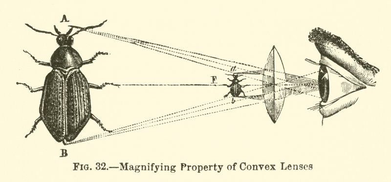 Propriété Grossissante des Lentilles Convexes (gravure) - European School