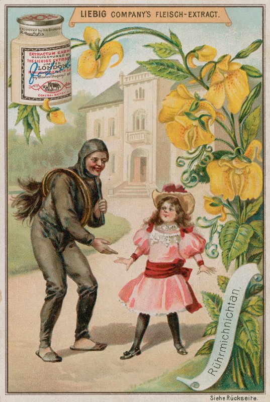 Mimosa - European School