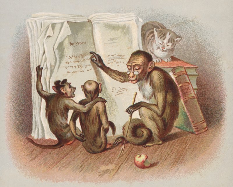 Singe enseignant (chromolithographie) - European School