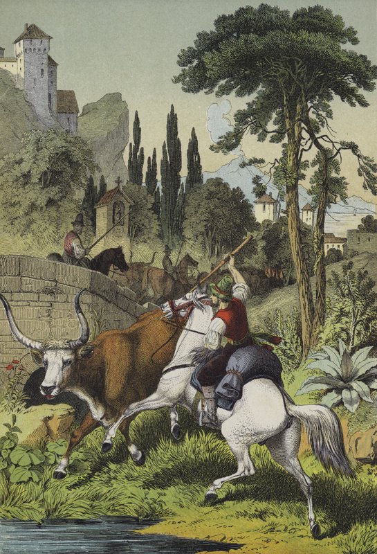Bergers montés en Italie poursuivant un taureau des steppes dans un paysage avec des châtaigniers sauvages, des pins à grappes et des peupliers italiens (lithographie en couleur) - European School