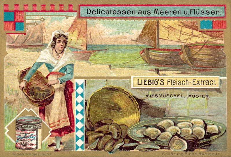 Moules et huîtres - European School