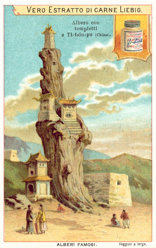 Vieil arbre avec des temples en Chine - European School