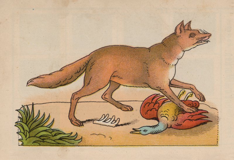 Page du Livre Magique (lithographie en couleur) - European School