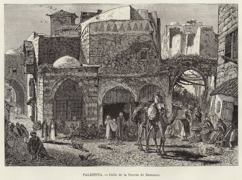 Palestine, Rue de la Porte de Damas - European School