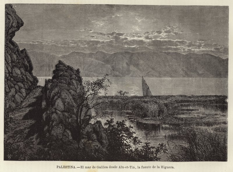 Palestine, La mer de Galilée depuis Ain-et-Tin, la source du Figuier - European School