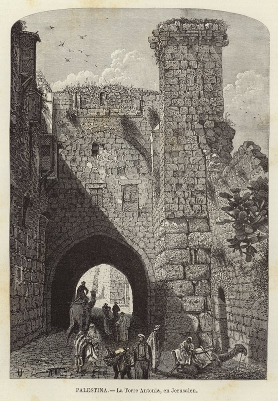 Palestine, La tour Antonia, à Jérusalem - European School