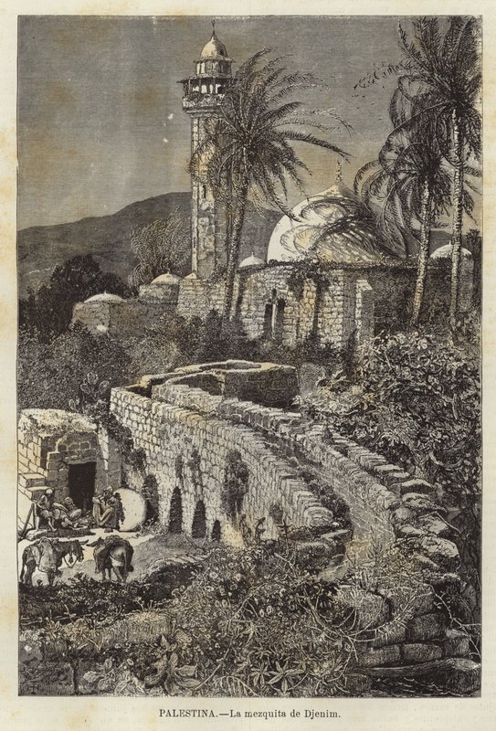 Palestine, La mosquée de Djenim - European School