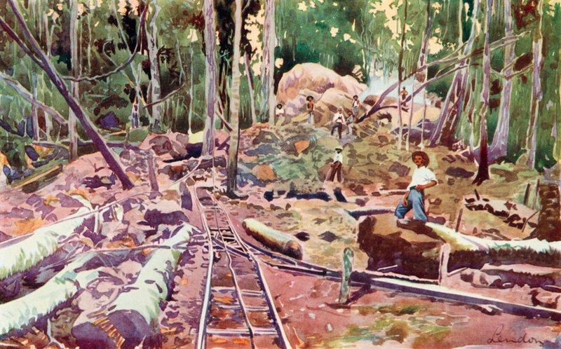 Pénétrer dans la forêt amazonienne, chemin de fer Madère-Mamore (lithographie couleur) - European School