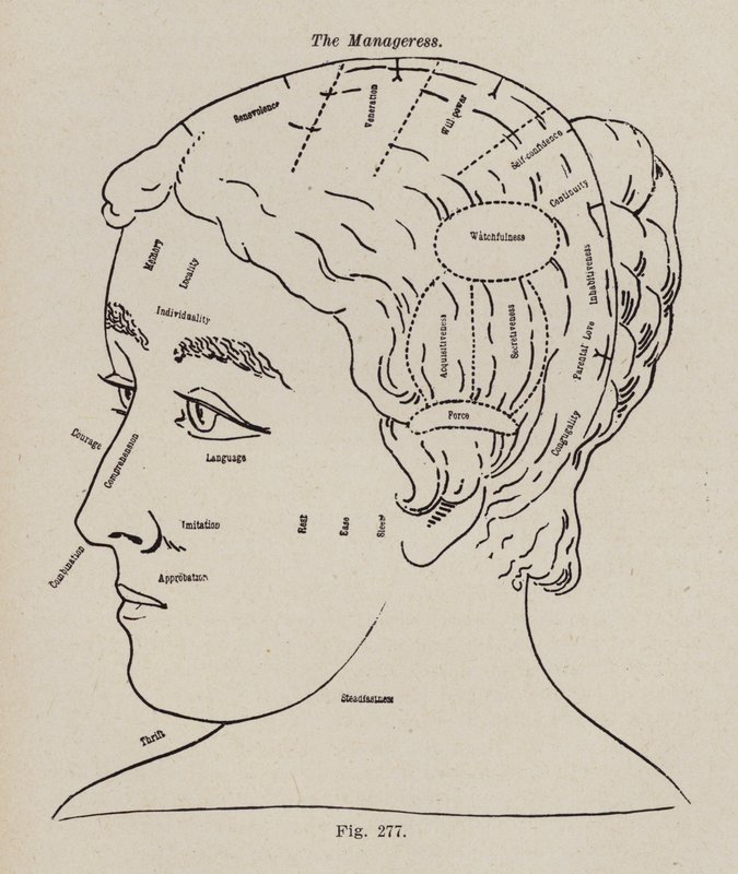Phrenologie, une directrice - European School