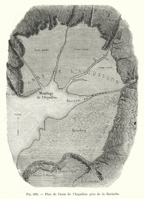 Plan de l
