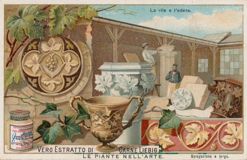 Les plantes dans l