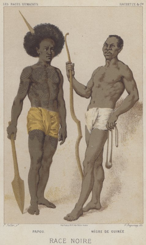 Race noire, Papou, Noir de Guinée (chromolitho) - European School