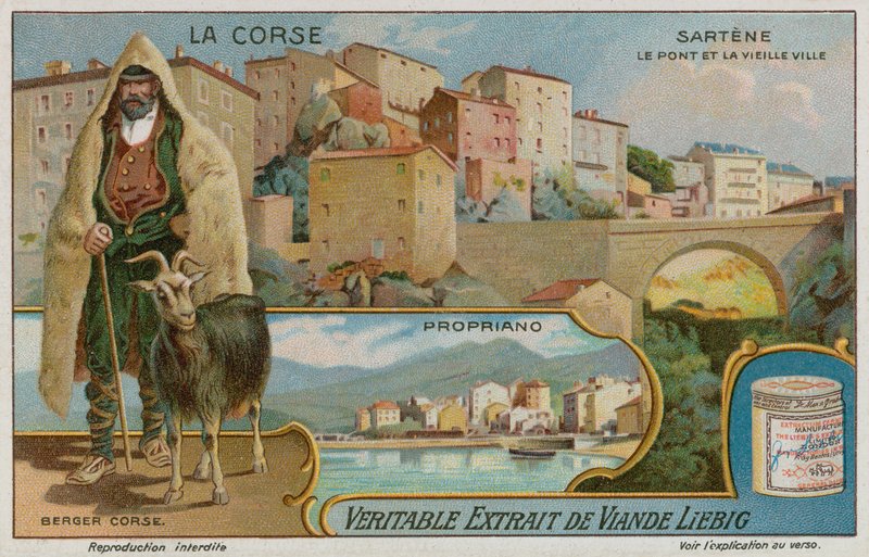 Sartène, Propriano et un berger - European School