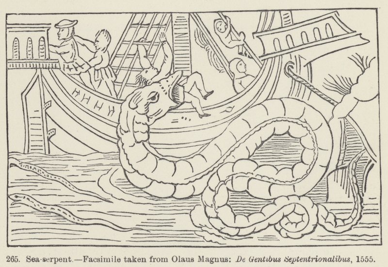 Serpent de mer - European School