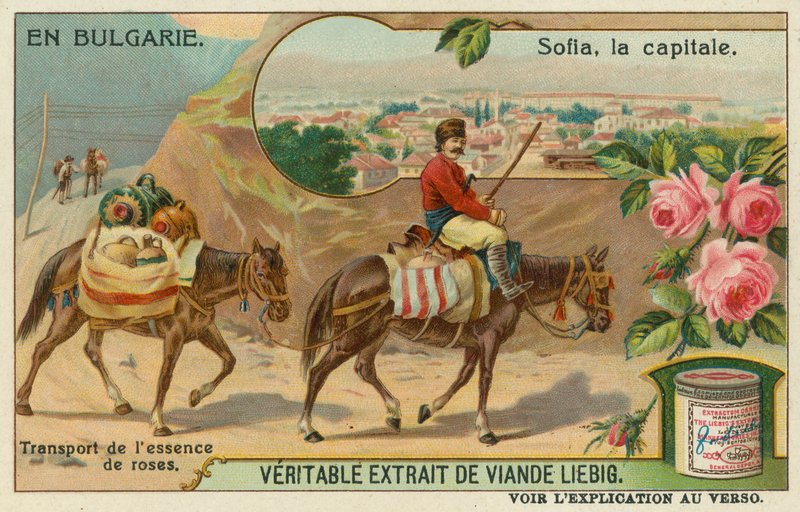Sofia et un commerçant transportant de l