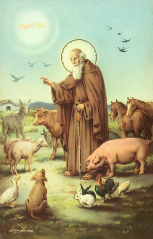 Saint François d