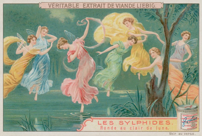 Sylphes dansant au clair de lune - European School