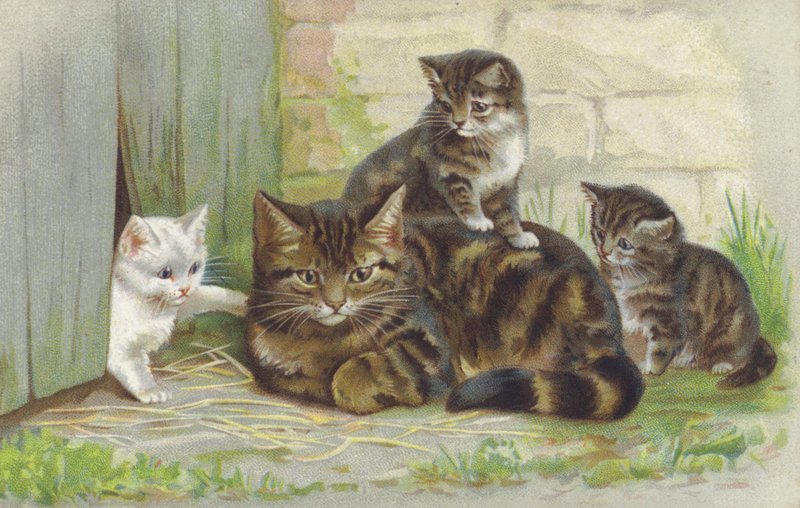 Chat tabby avec trois chatons (chromolitho) - European School