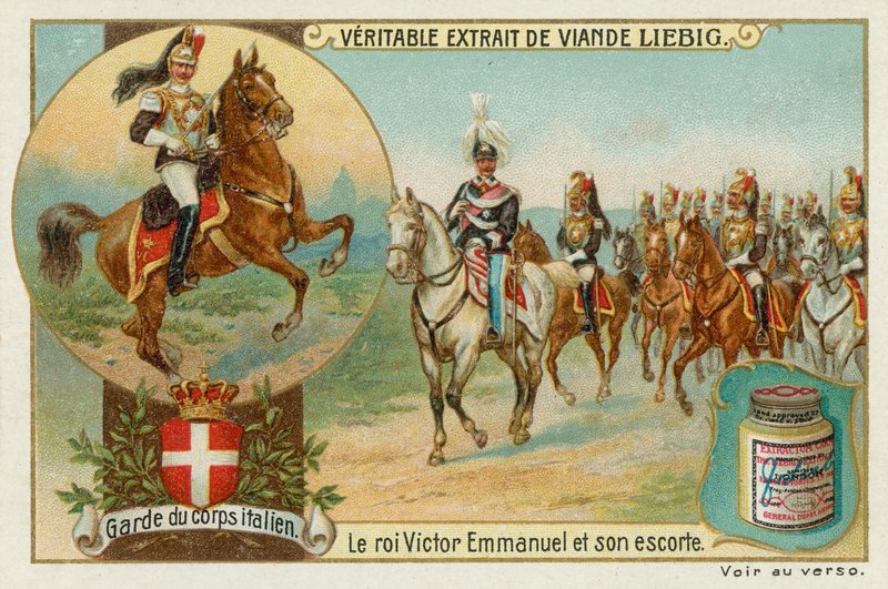 La Garde du corps du roi d