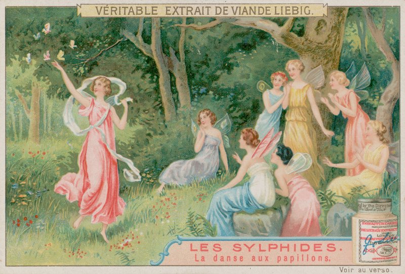 Les sylphes dansent avec des papillons - European School