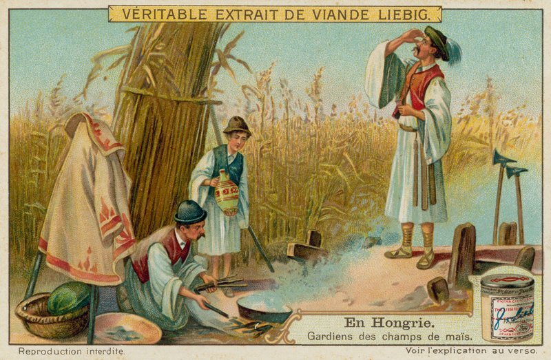 Les gardiens du champ de maïs - European School