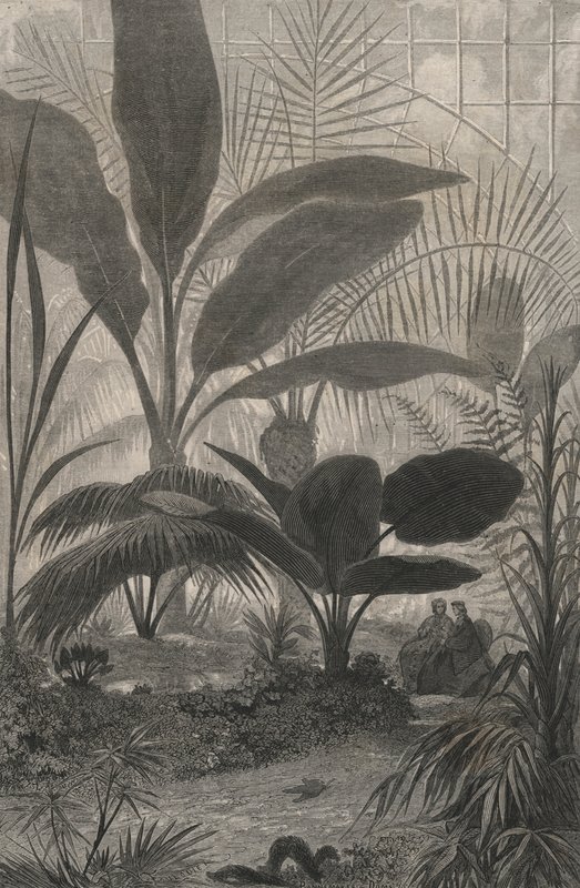 Un Jardin D