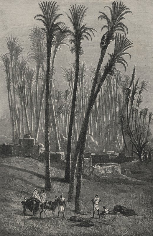 Une oasis au Sahara (gravure) - European School