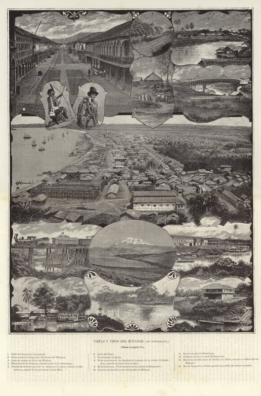 Vues et types de l