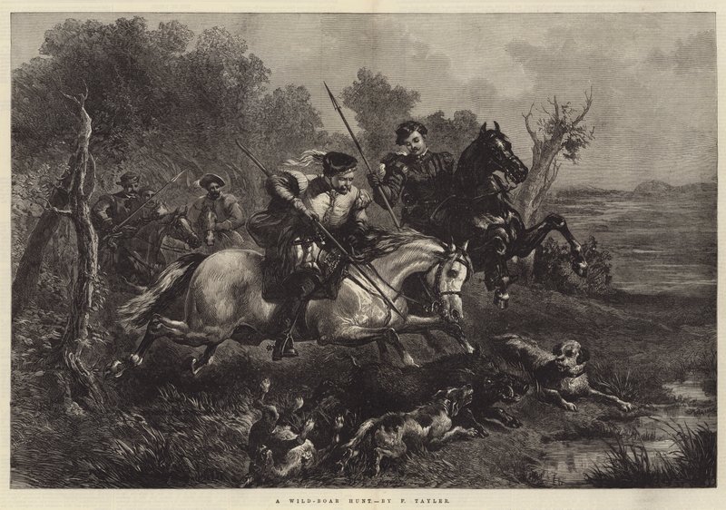 Chasse au sanglier - F. Tayler