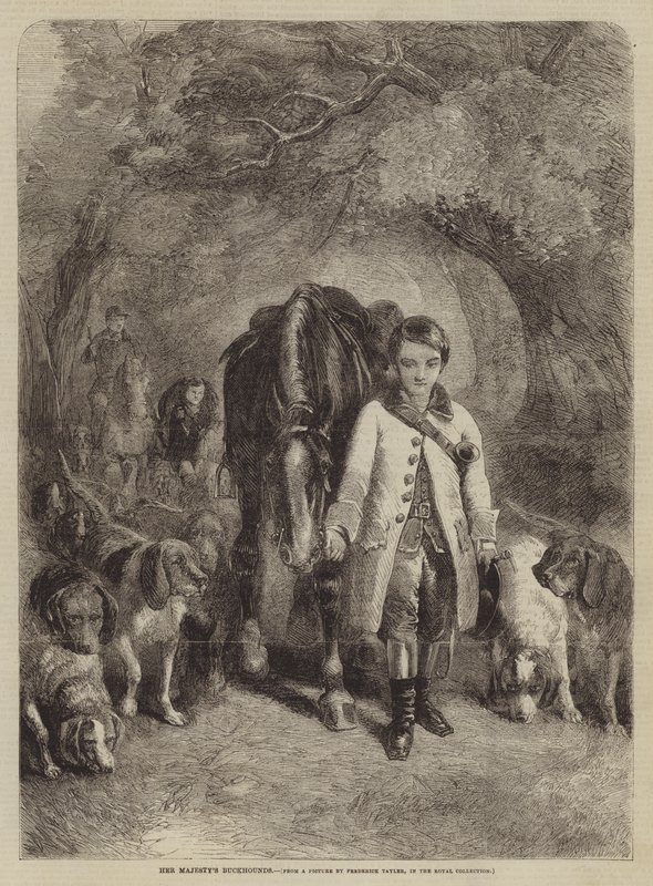 Les chiens de chasse de Sa Majesté - F. Tayler