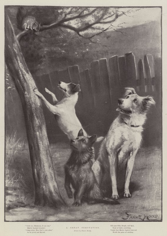 Une grande tentation - Fannie Moody
