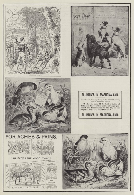 Publicité, Elliman