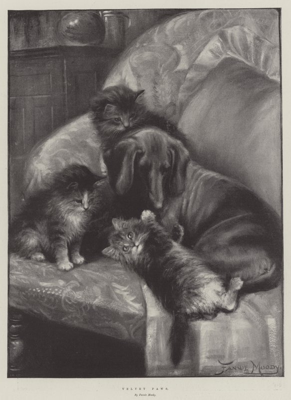 Pattes de velours - Fannie Moody