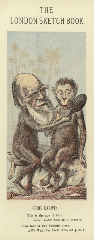 Caricature de Charles Darwin - Faustin