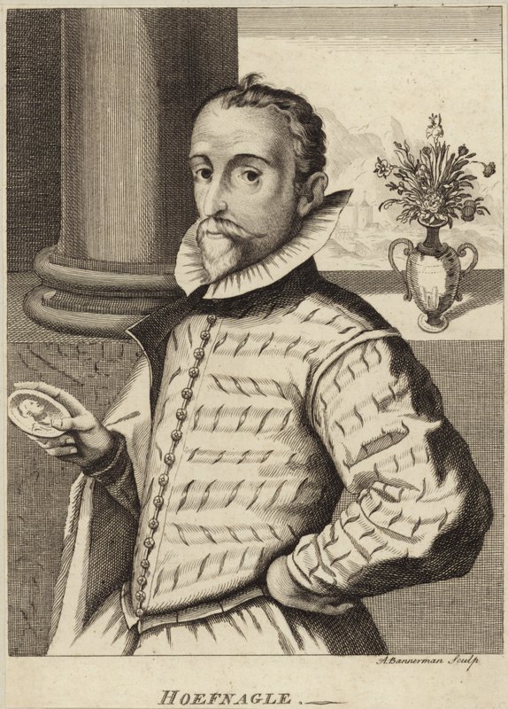 Portrait de Joris Hoefnagel - Flemish School