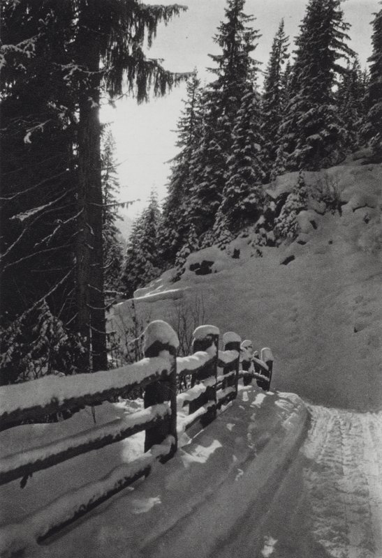Les Alpes : Matin d