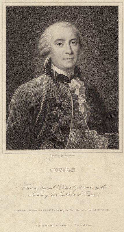 Portrait de Georges-Louis Leclerc, Comte de Buffon - Francois Hubert Drouais