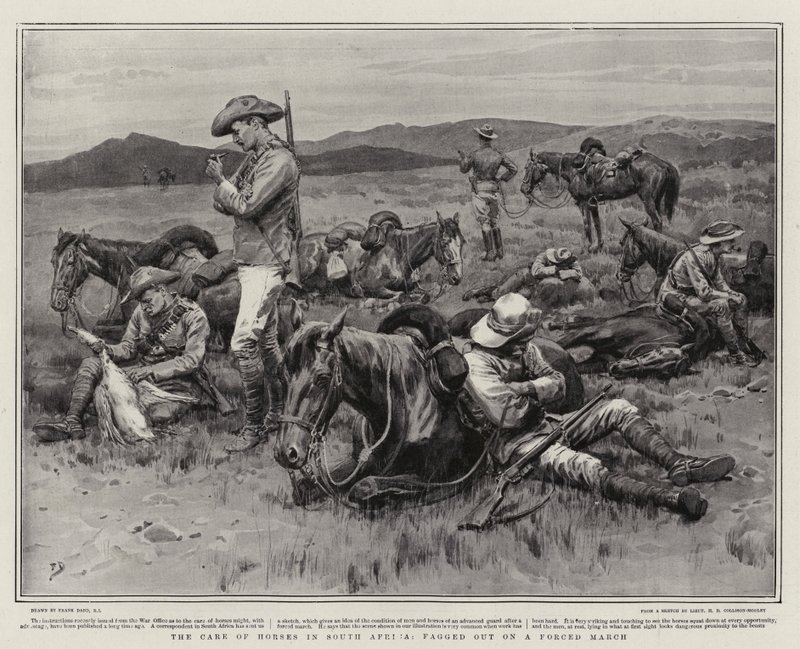 Le soin des chevaux en Afrique du Sud, épuisés après une marche forcée - Frank Dadd