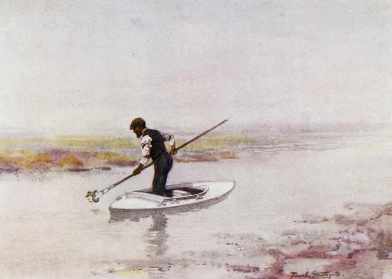 Norfolk Broads : Ramassage des anguilles - Frank Southgate