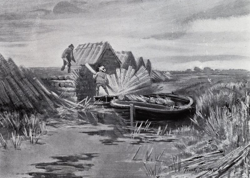 Norfolk Broads : Empilage de roseaux - Frank Southgate