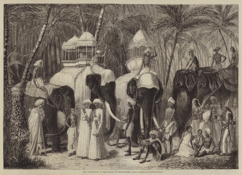 Les éléphants du Rajah de Travancore - Frank Vizetelly