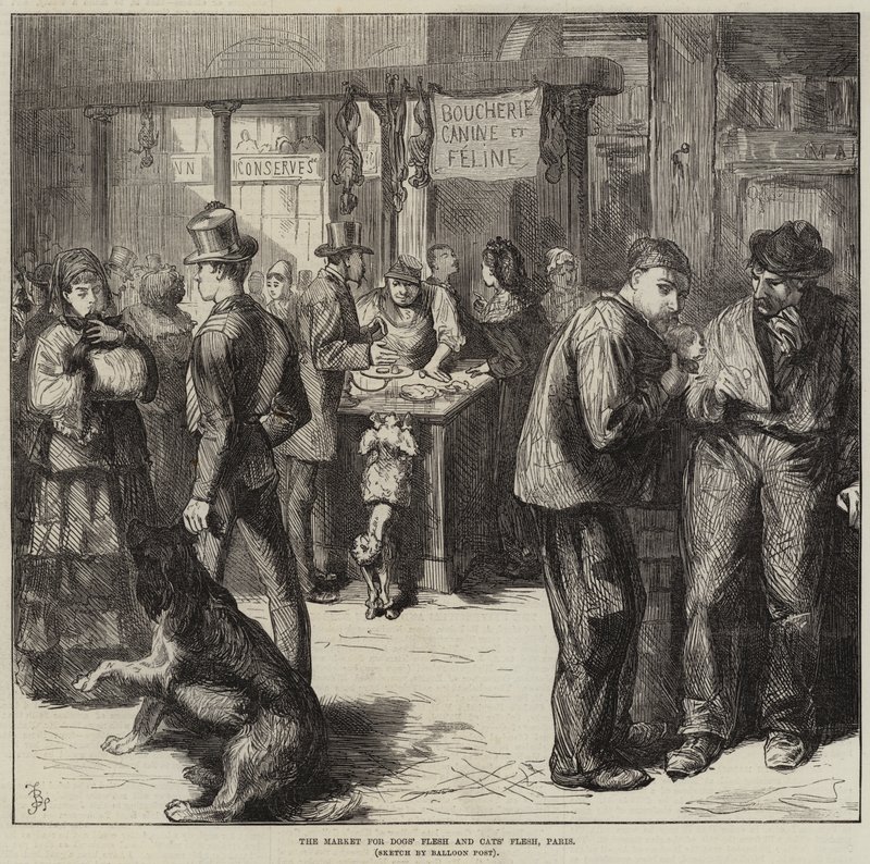 Le marché de la chair de chien et de chat, Paris - Frederick Barnard