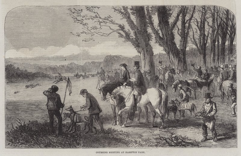 Réunion de coursing à Hampton Park - Frederick John Skill