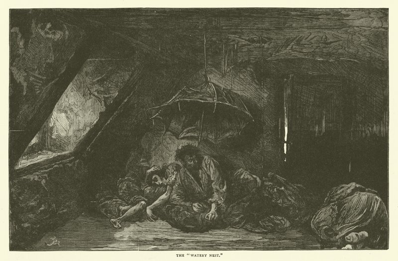 Le nid aquatique - Frederick L. Bernard
