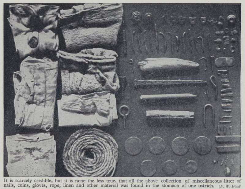 Objets trouvés dans l