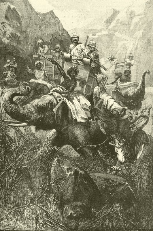 Chasse au tigre en Inde - Frederick William Burton