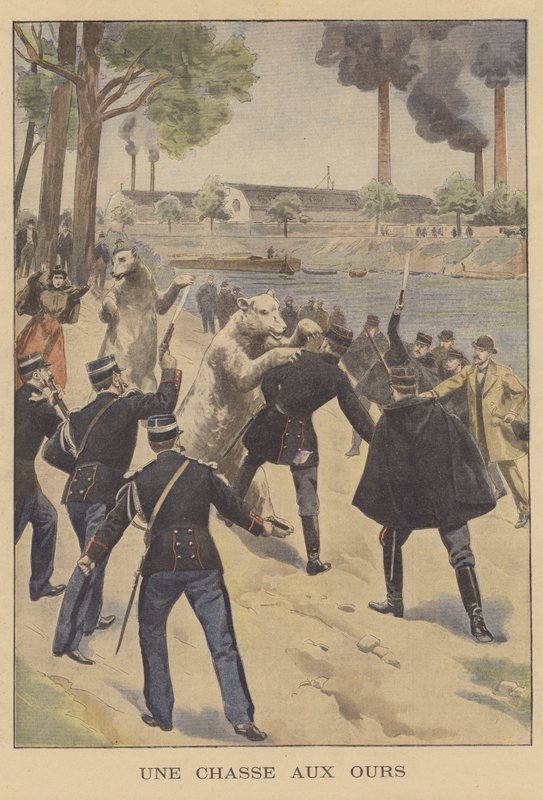 Chasse à l