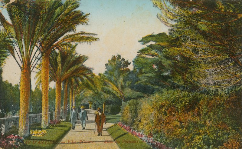 Allée des Palmiers, jardins de la Villa Eilenroc, Cap d