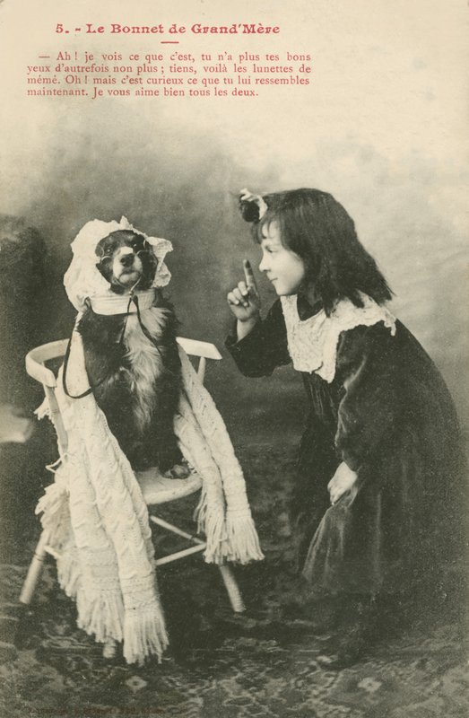 Enfant habillant son chien avec un bonnet - French Photographer